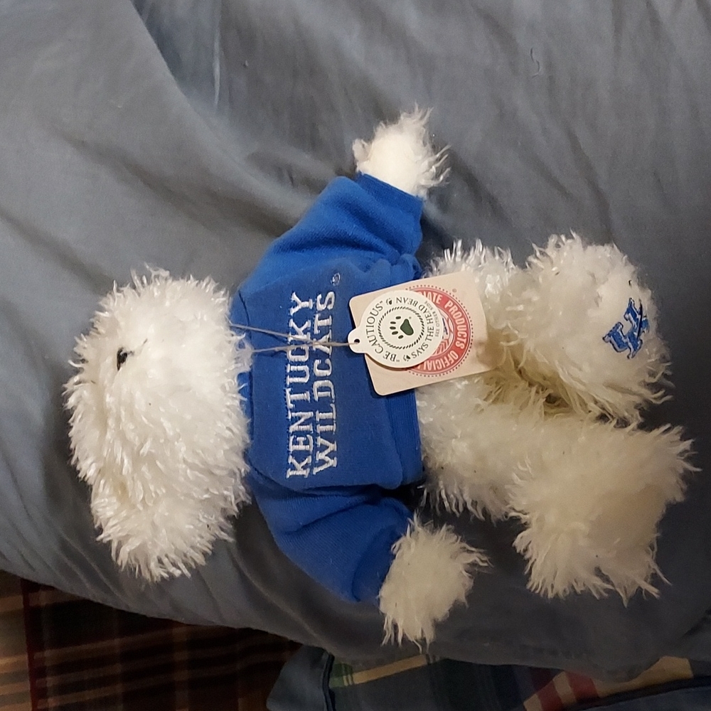 Kentucky boyds bear